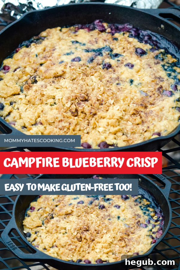 Campfire Blueberry Crisp promotional image for Pinterest