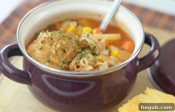Instant Pot Meatball Soup