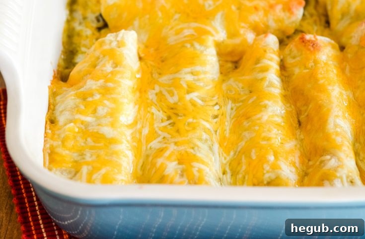 Cheesy Chicken Enchiladas