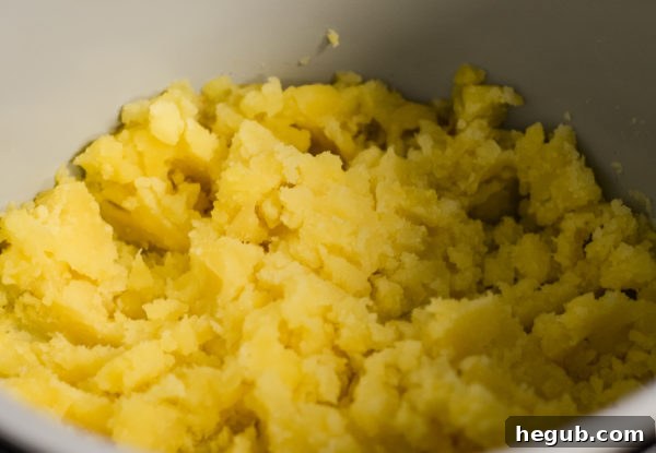 Ninja Foodi Mashed Potatoes
