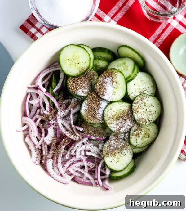 Fresh ingredients for easy cucumber salad with red onion and celery seed