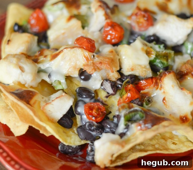 Quick and easy Air Fryer Plate Nachos