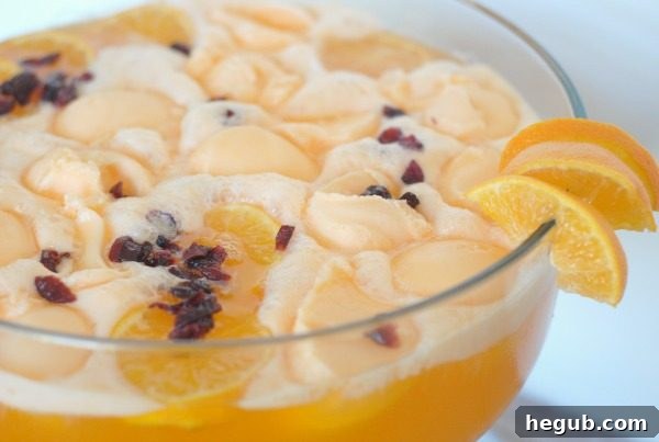 Colorful and Creative Holiday Punch Selections