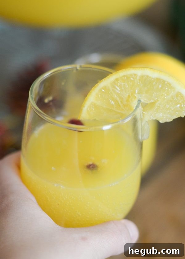 Cranberry Orange Holiday Punch in a Decorative Bowl