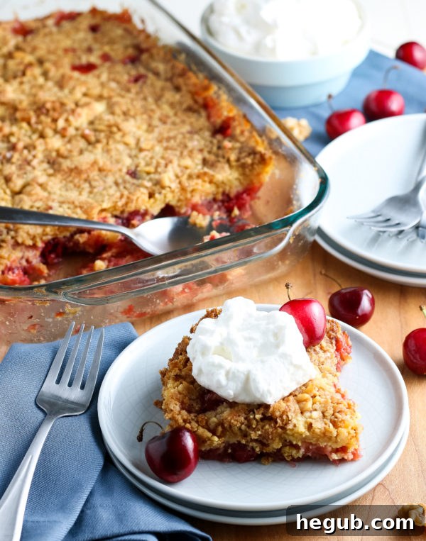A generous serving of Classic Cherry Dump Cake topped with vanilla ice cream