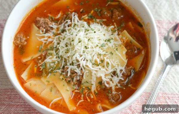 Ninja Foodi Lasagna Soup