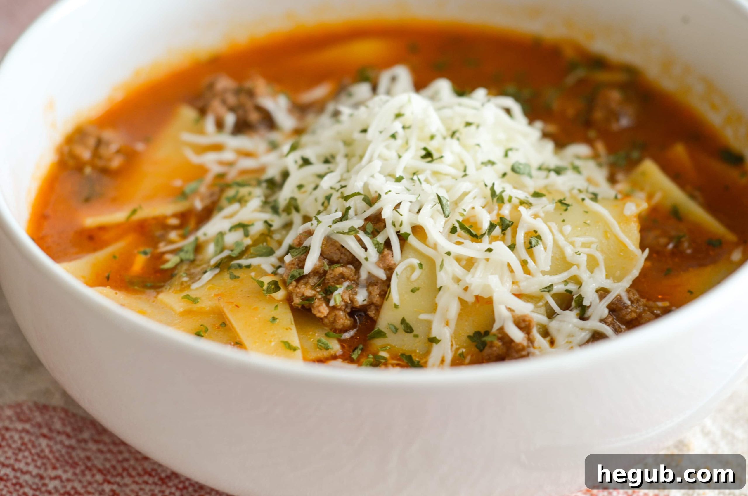 Ninja Foodi Lasagna Soup