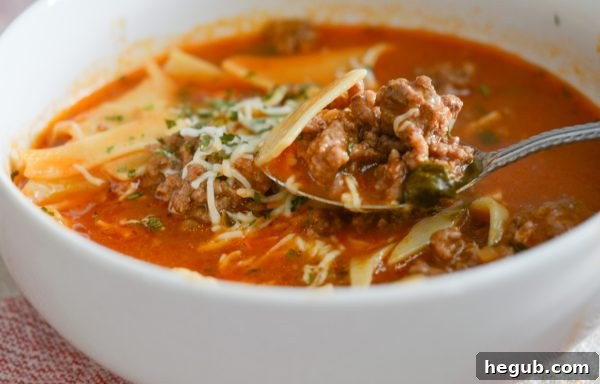 Ninja Foodi Lasagna Soup