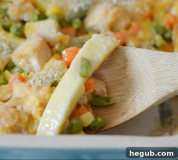 Gluten Free Chicken Noodle Casserole