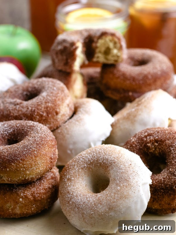 Apple Cider Donuts (Gluten-Free Optional)