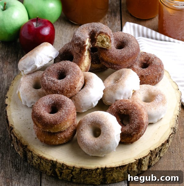Apple Cider Donuts (Gluten-Free Optional)