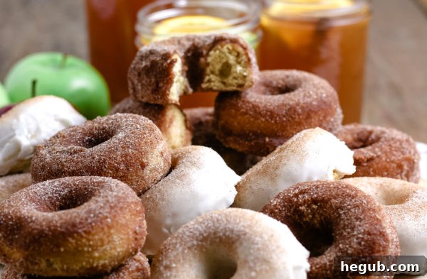 Apple Cider Donuts (Gluten-Free Optional)