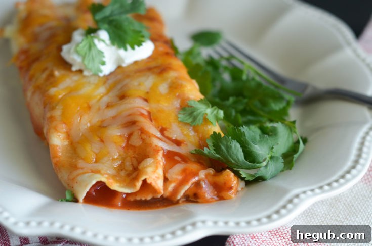Crispy Air Fryer Cheesy Beef Enchiladas, a gluten-free air fryer meal