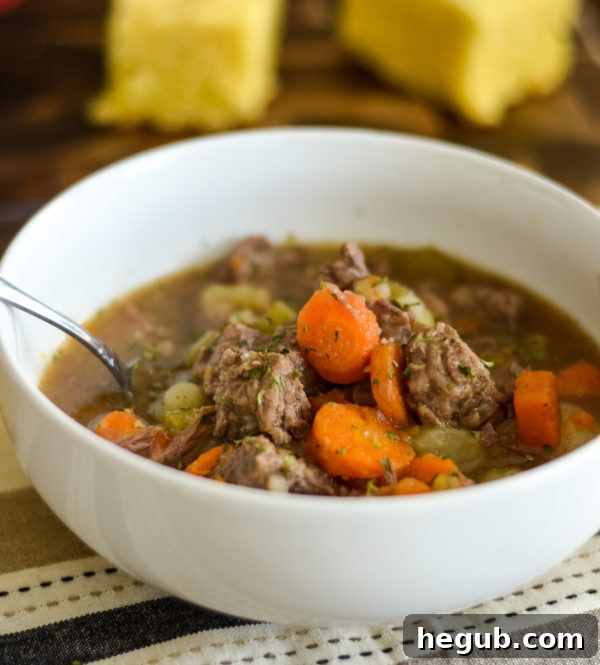 Easy Monthly Meal Plan - Month of August, showing a delicious beef stew in a Ninja Foodi