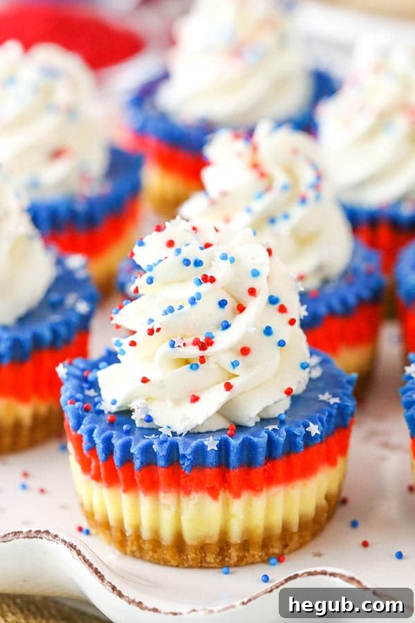 Red, White & Blue Mini Cheesecakes topped with fresh berries