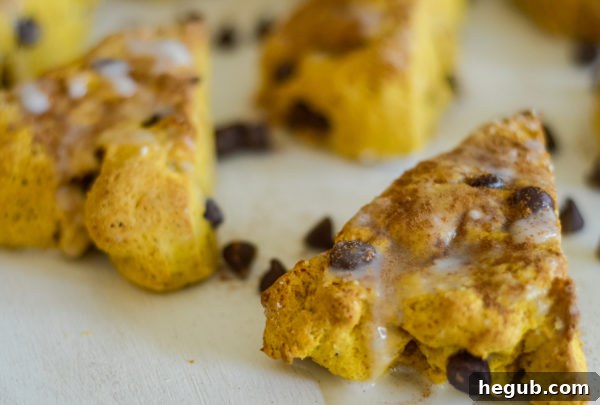 gluten-free pumpkin chocolate chip scones