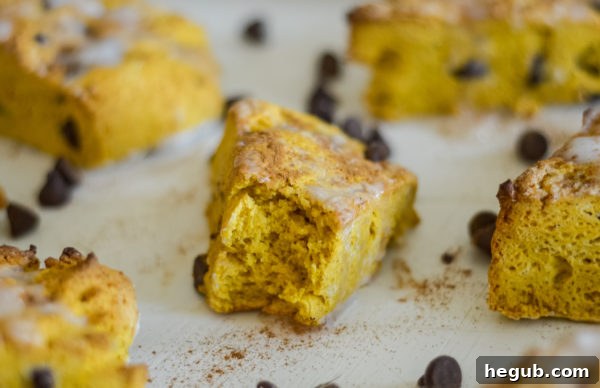 gluten-free pumpkin chocolate chip scones