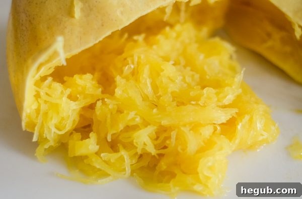 Ninja Foodi spaghetti squash ready to be served