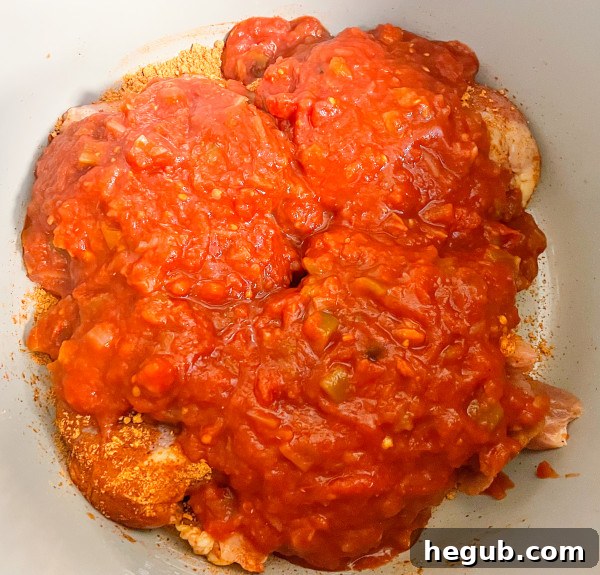 ninja foodi salsa chicken