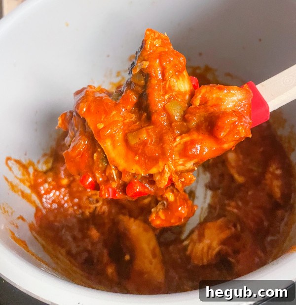 Preparation of Ninja Foodi Salsa Chicken