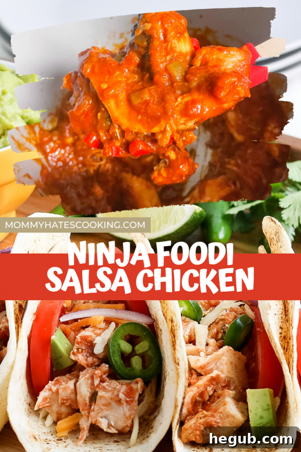 ninja foodi salsa chicken