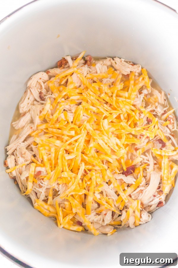 ninja foodi ranch chicken on a plate
