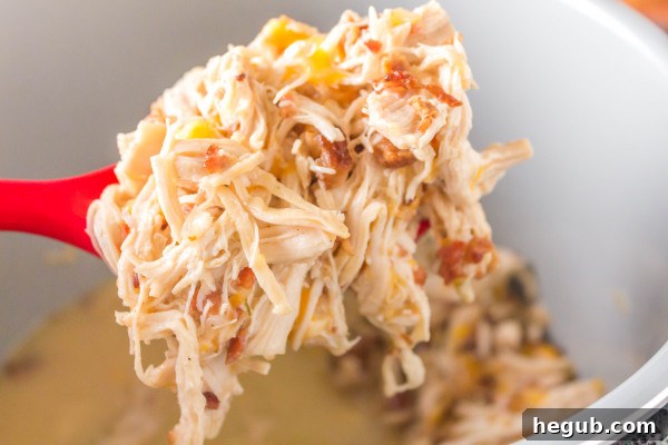 bowl of ninja foodi ranch chicken