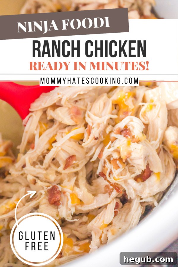 ninja foodi ranch chicken with rice