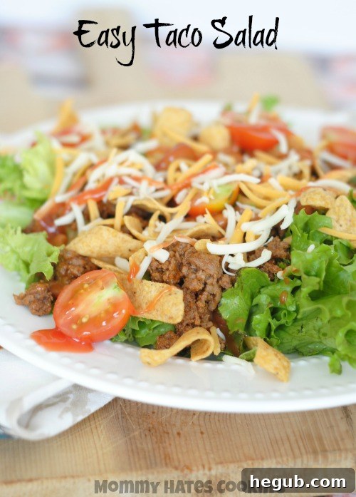 Easy Taco Salad ready to serve