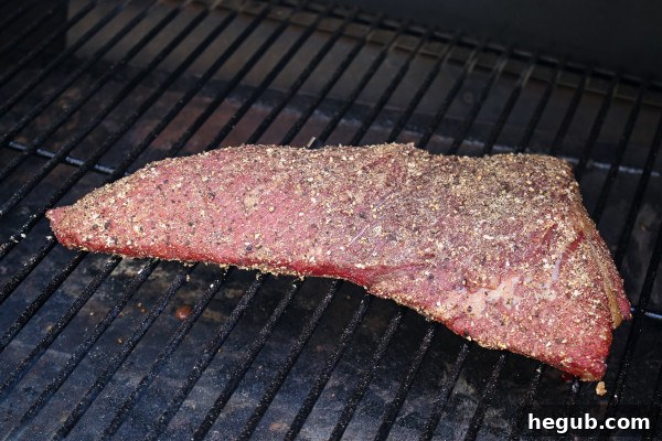 pellet grill smoked tri tip