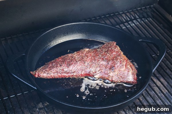 pellet grill smoked tri tip