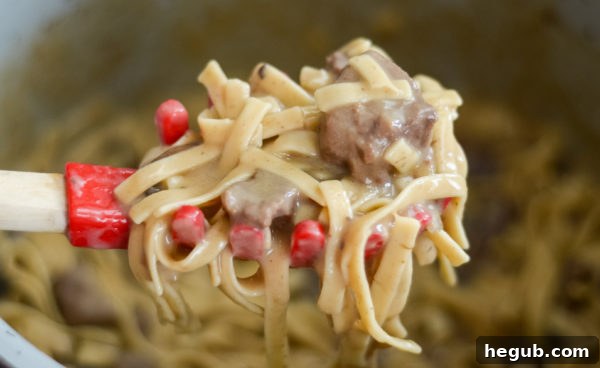 pressure cooker beef stroganoff in pot
