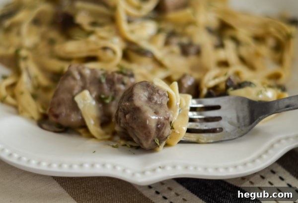 pressure cooker beef stroganoff