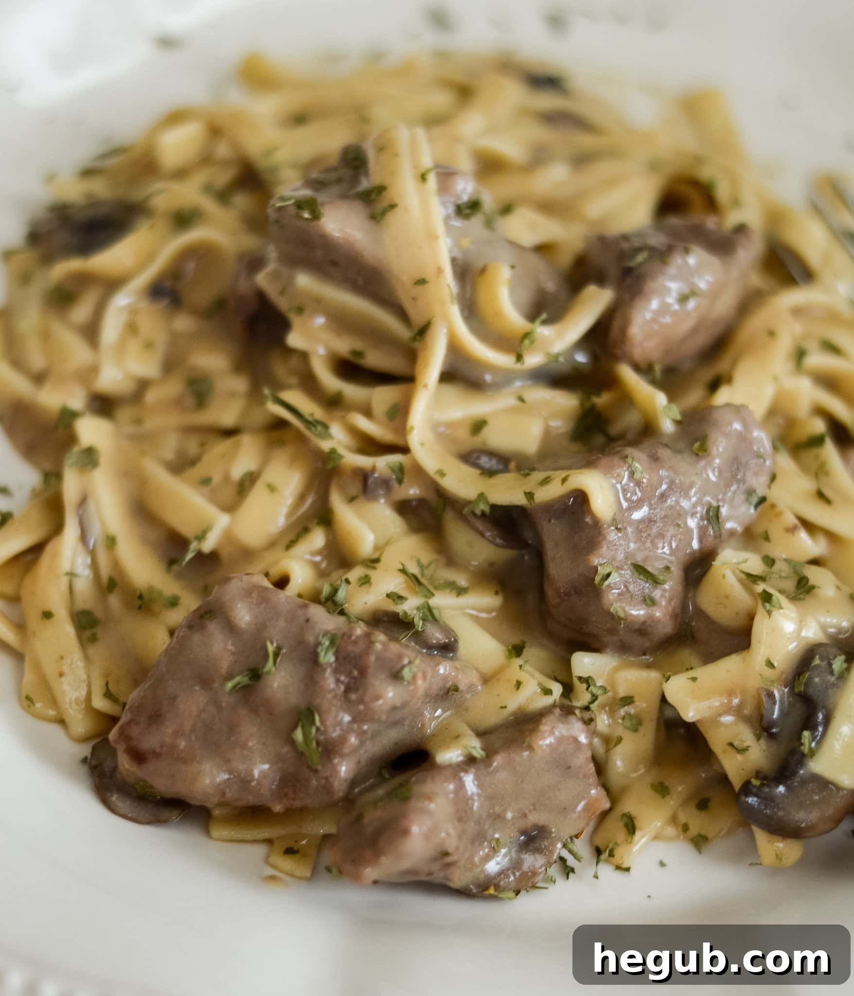 Pressure Cooker Beef Stroganoff