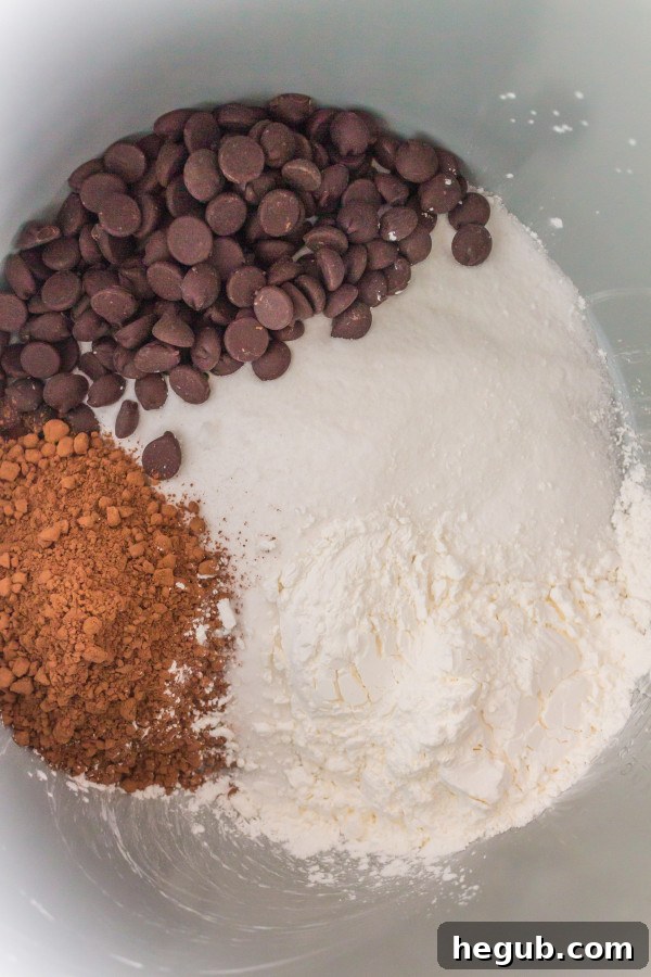 Raw ingredients for pressure cooker chocolate pudding, including sugar, chocolate chips, cocoa powder, milk, and eggs.
