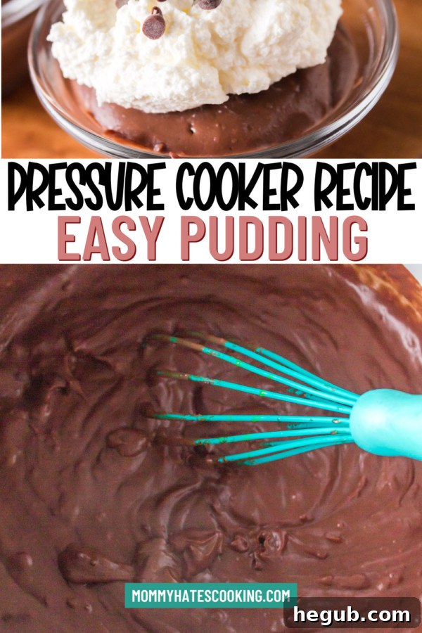 Various servings of pressure cooker chocolate pudding in bowls, with one garnished with whipped cream and chocolate shavings.